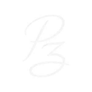 pouya zaragar consultant marketing advisor marketing strategy market research researcher academician data analyst